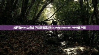 如何在Mac上安全下载并配置Cisco AnyConnect VPN客户端