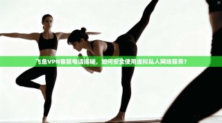 飞鱼VPN客服电话揭秘，如何安全使用虚拟私人网络服务？