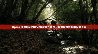Opera 浏览器无内置VPN设置？别慌，教你用替代方案安全上网