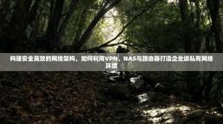 构建安全高效的网络架构，如何利用VPN、NAS与路由器打造企业级私有网络环境