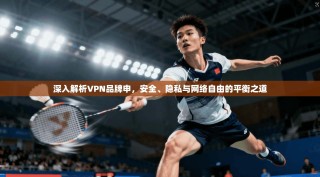深入解析VPN品牌申，安全、隐私与网络自由的平衡之道