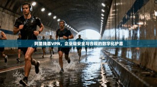 阿里钱盾VPN，企业级安全与合规的数字化护盾