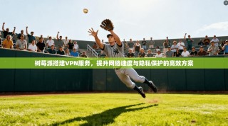 树莓派搭建VPN服务，提升网络速度与隐私保护的高效方案