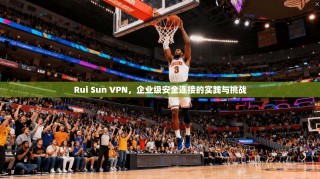 Rui Sun VPN，企业级安全连接的实践与挑战
