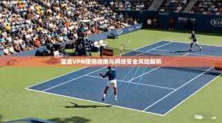 宝龙VPN使用指南与网络安全风险解析