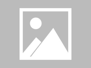 深入解析VPN与蜂窝数据的协同机制及其在现代移动网络中的应用价值