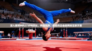 深入解析MPLS VPN协议，构建高效、安全的企业级网络互联方案
