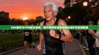 DNS解析与VPN结合使用，提升网络安全性与隐私保护的实践指南