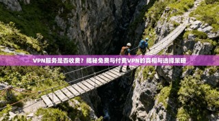 VPN服务是否收费？揭秘免费与付费VPN的真相与选择策略