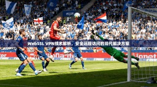 WebSSL VPN技术解析，安全远程访问的现代解决方案