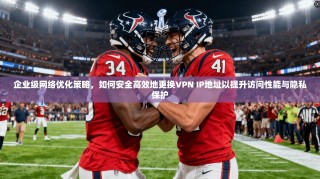 企业级网络优化策略，如何安全高效地更换VPN IP地址以提升访问性能与隐私保护