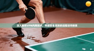 深入解析VPN内网技术，构建安全高效的远程访问体系