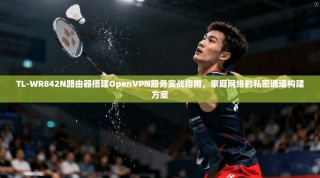 TL-WR842N路由器搭建OpenVPN服务实战指南，家庭网络的私密通道构建方案