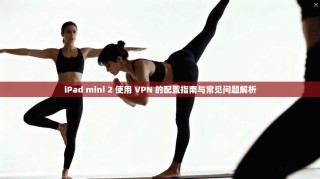 iPad mini 2 使用 VPN 的配置指南与常见问题解析
