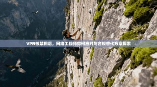 VPN被禁用后，网络工程师如何应对与合规替代方案探索
