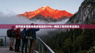 如何安全高效地使用逛逛的VPN—网络工程师的专业建议
