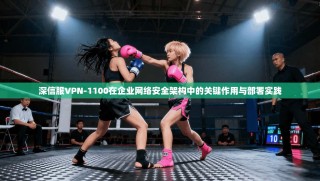 深信服VPN-1100在企业网络安全架构中的关键作用与部署实践