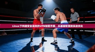 Linux下构建安全高效的VPN加密方案，从基础配置到实战优化