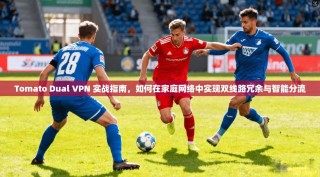 Tomato Dual VPN 实战指南，如何在家庭网络中实现双线路冗余与智能分流