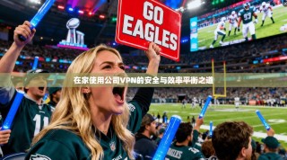在家使用公司VPN的安全与效率平衡之道