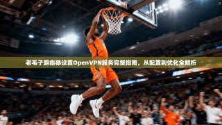 老毛子路由器设置OpenVPN服务完整指南，从配置到优化全解析