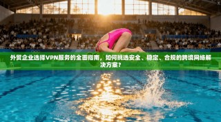 外贸企业选择VPN服务的全面指南，如何挑选安全、稳定、合规的跨境网络解决方案？