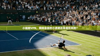 小蚯蚓VPN，网络自由的小透明还是潜在风险？