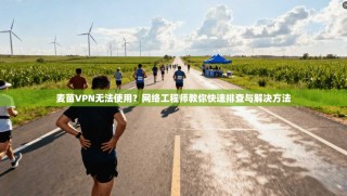 麦苗VPN无法使用？网络工程师教你快速排查与解决方法