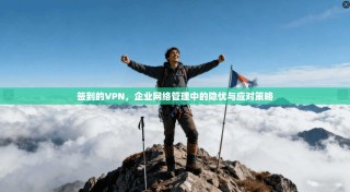 签到的VPN，企业网络管理中的隐忧与应对策略