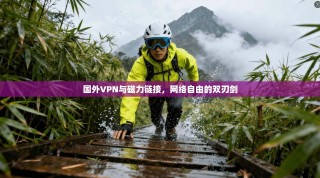 国外VPN与磁力链接，网络自由的双刃剑