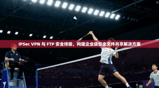 IPSec VPN 与 FTP 安全传输，构建企业级安全文件共享解决方案