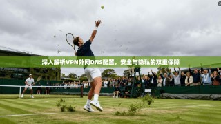 深入解析VPN外网DNS配置，安全与隐私的双重保障
