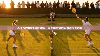 Ark VPN插件深度解析，安全与便捷的网络连接新选择