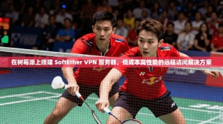 在树莓派上搭建 SoftEther VPN 服务器，低成本高性能的远程访问解决方案