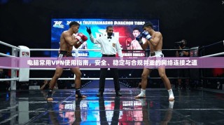电脑常用VPN使用指南，安全、稳定与合规并重的网络连接之道