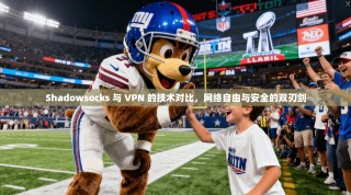 Shadowsocks 与 VPN 的技术对比，网络自由与安全的双刃剑