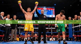 警惕VPN泄漏风险，如何保护邮箱密码不被窃取