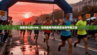 国家承认的VPN，合规使用与网络安全的平衡之道