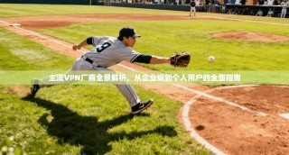 主流VPN厂商全景解析，从企业级到个人用户的全面指南