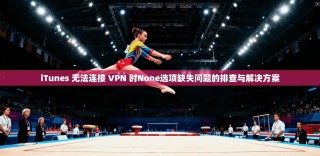 iTunes 无法连接 VPN 时None选项缺失问题的排查与解决方案