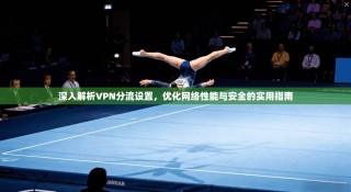 深入解析VPN分流设置，优化网络性能与安全的实用指南
