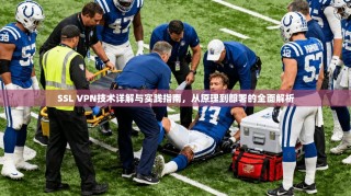 SSL VPN技术详解与实践指南，从原理到部署的全面解析