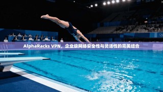 AlphaRacks VPN，企业级网络安全性与灵活性的完美结合