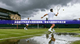 企业级VPN共享文档管理策略，安全与效率的平衡之道