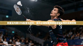阿里云内网VPN配置与优化，提升企业私有网络连接安全性的实践指南