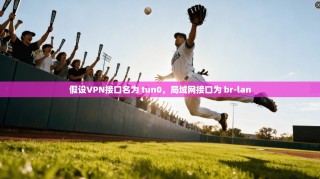 假设VPN接口名为 tun0，局域网接口为 br-lan