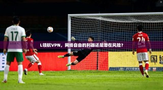 L领航VPN，网络自由的利器还是潜在风险？