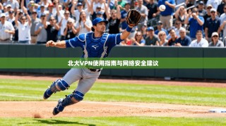 北大VPN使用指南与网络安全建议
