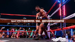Seed VPN PC版全面评测，安全、稳定与易用性的完美平衡