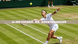 深入解析VPN代理服务，原理、应用场景与安全风险全指南